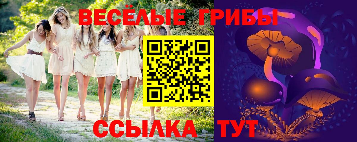 ЭКСТАЗИ  Георгиевск  Каннабис  Вход с VPN  Гашиш  Codein  Мефедрон   COCAIN 